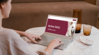 Active-Dog