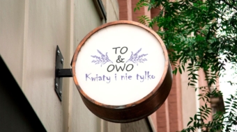 logo to i owo